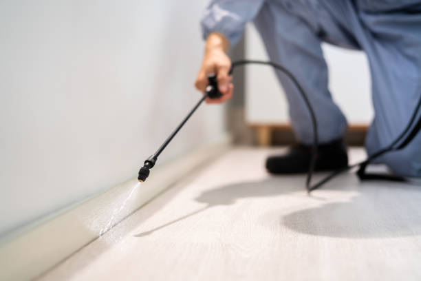 Licensed Ant Control service in Lower Connecticut River Valley Planning Region County, CT - Nex Pest Control